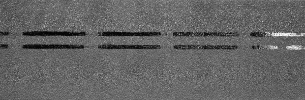 Коньково-карнизная черепица Docke Premium, черника купить в Тамбове